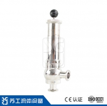 Calibration Regulating Safety Valve