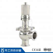 Basic type safety valve